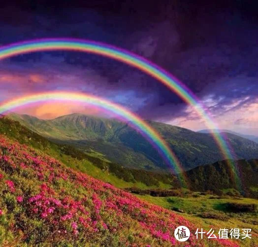 为什么参加篮球辅导可以帮助孩子更好地成长_2